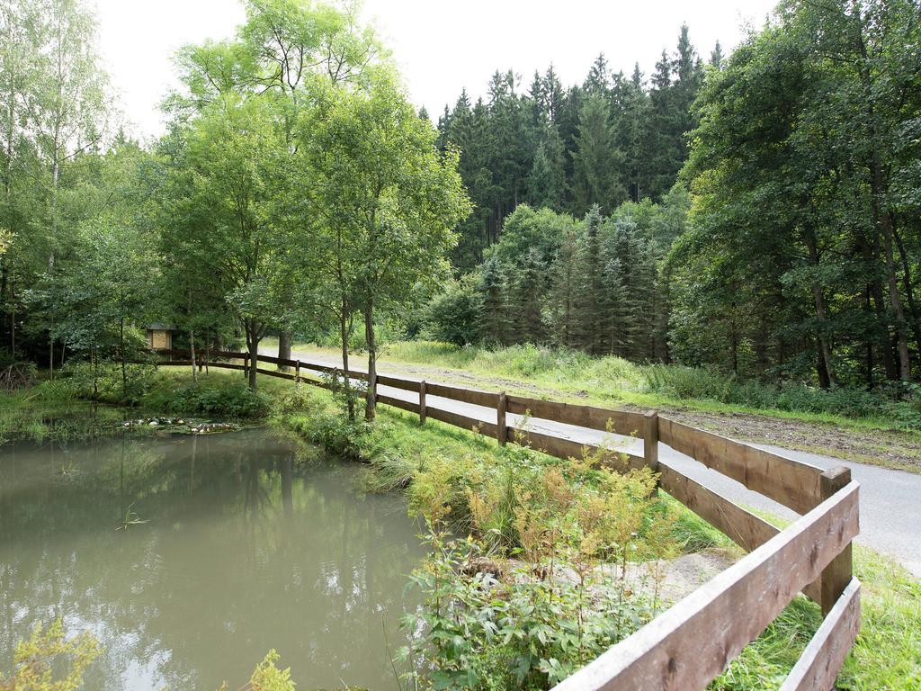 ברייטנברון Cozy Apartment In Ore Mountains With Balcony מראה חיצוני תמונה